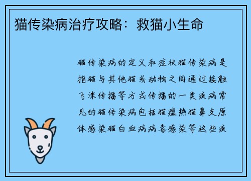猫传染病治疗攻略:救猫小生命